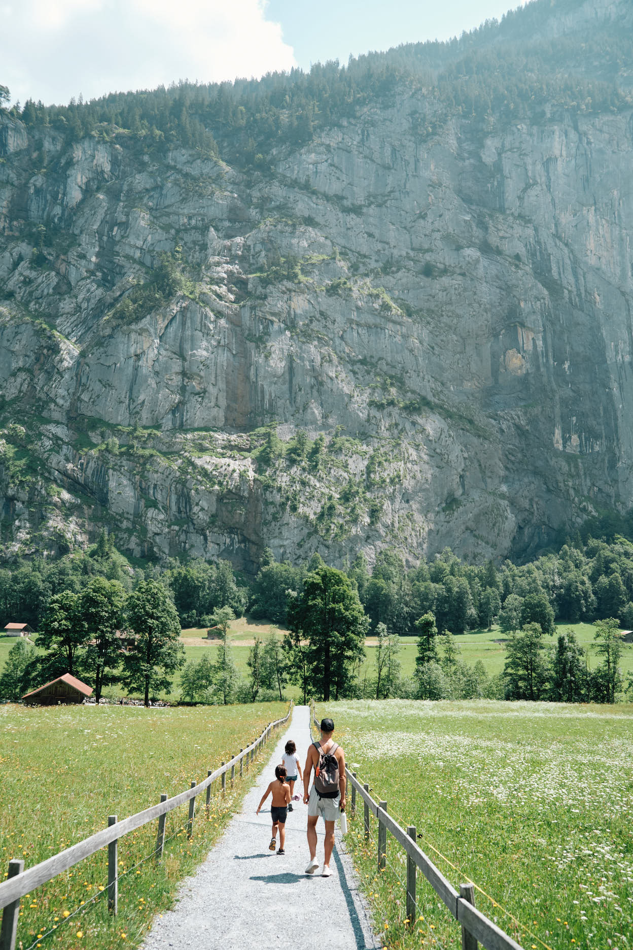 swiss_379